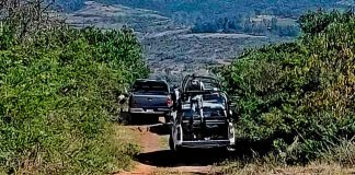 Adulto mayor muere tras caerle una rama de árbol, en el municipio de Madero