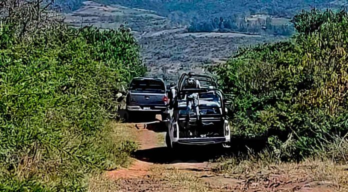 Adulto mayor muere tras caerle una rama de árbol, en el municipio de Madero