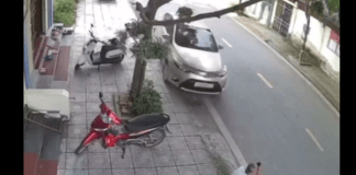 #VIDEO | Joven fue brutalmente atropellado mientras estaba sentado en la banqueta