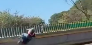 #VIDEO | #México: ‘Biker’ intenta hacer acrobacia en plena autopista y se accidenta