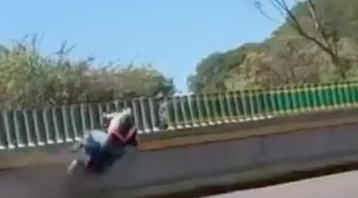 #VIDEO | #México: ‘Biker’ intenta hacer acrobacia en plena autopista y se accidenta