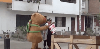 #VIDEO | Policía se viste de capibara en San Valentín y logra capturar a un delincuente