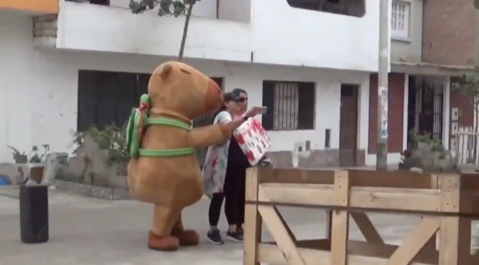 #VIDEO | Policía se viste de capibara en San Valentín y logra capturar a un delincuente