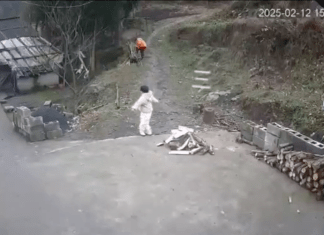 #VIDEO | Niño prende ‘cuete’ y cae en la cara de su madre