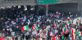 #Video | Mexicanos se manifiestan en EE. UU. contra la imposición de aranceles de Trump
