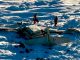 Descantan sobrevivientes de accidente aéreo en Alaska; localizan 3 de 10 cuerpos