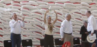 #VIDEO #FOTOS | Celebra Bedolla que Sheinbaum arrancará en Michoacán programa Cosechando Soberanía
