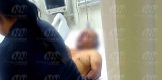 #Imágenes | Taxista choca contra vaca en la carretera Apatzingán – Nueva Italia