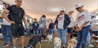 #Imágenes | ¿Buscas mascota? Visita la Feria de la Adopción en el Jardín del Orquídario