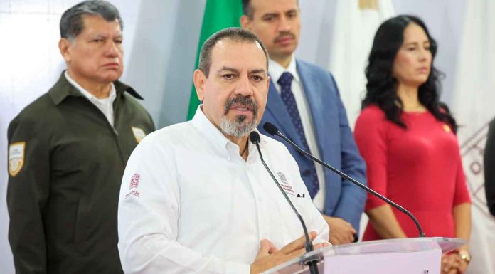 Con Guardián Forestal empacadoras identificarán aguacate ilegal