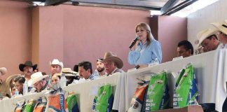 Gobierno de Alfonso Martínez, cercano al sector Ganadero