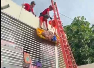#VIDEO | En pleno operativo, rescatistas dejan caer a un anciano