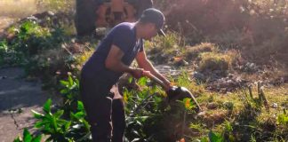 #Imágenes | Gobierno de Morelia realiza jornadas integrales de limpieza en Colonia Industrial y Colinas del Sur