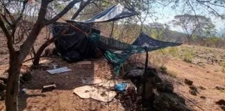 Desmantelan un narco campamento en Acahuato