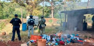 Destruyen 3 campamentos clandestinos en Parácuaro: SSP