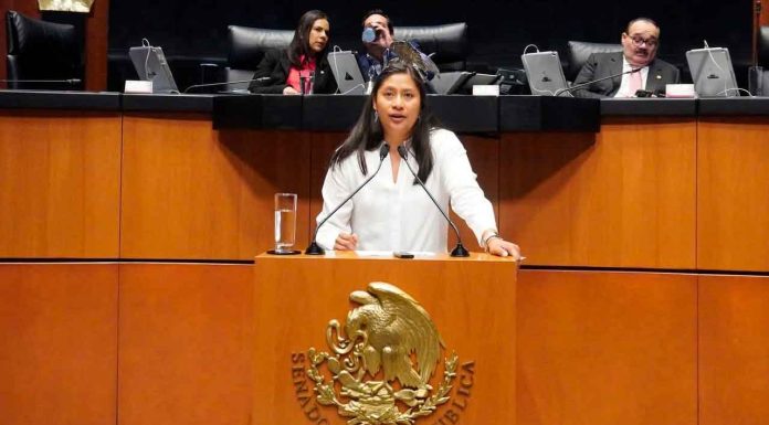 Celeste Ascencio respalda campañas de Sheinbaum contra las drogas