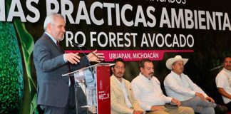 Comunidades indígenas, ejemplo en certificación de huertas de aguacate: Bedolla