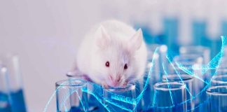 Avance científico podría permitir que parejas del mismo sexo tengan hijos biológicos combinando su material genético; esto se sabe