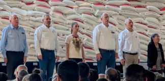 #VIDEO | En marzo, iniciará en Michoacán programa Cosechando Soberanía, anuncia Claudia Sheinbaum