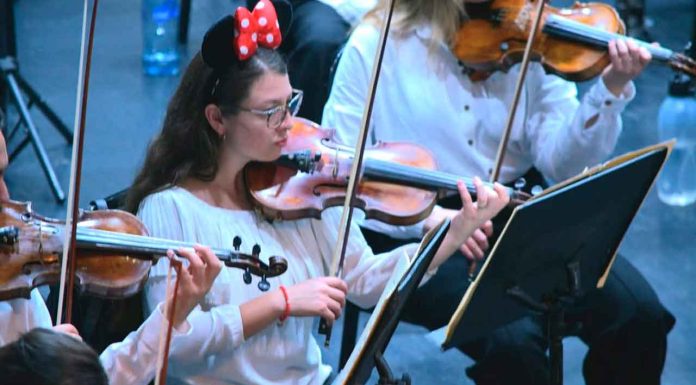 Secum invita escuelas a conciertos didácticos de la Orquesta Sinfónica