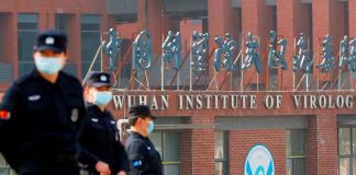 En China: Científicos descubren nuevo coronavirus en murciélagos; aseguran que es similar al Covid-19