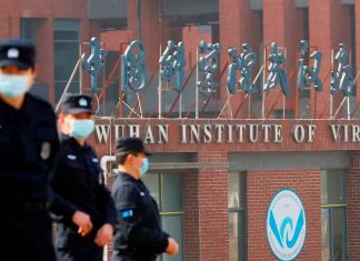 En China: Científicos descubren nuevo coronavirus en murciélagos; aseguran que es similar al Covid-19