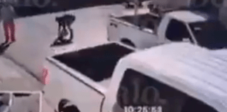 #VIDEO | Le apodan el nuevo “Fofo Márquez”: golpeó a adulto mayor por atropellar a su perro