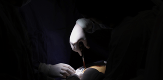 Renacen 73 vidas en Michoacán gracias a la donación de órganos: SSM