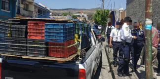 En minutos, recupera Policía Morelia un auto robado