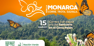 Sectur invita a correr en Zitácuaro por la Monarca