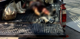 Jornalero muere en un hospital, víctima de estallido de un explosivo improvisado en Tierra Caliente