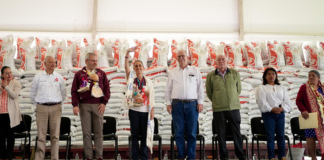 En Michoacán, Presidenta Claudia Sheinbaum encabeza entrega del Programa de Fertilizantes para el Bienestar, derecho de las y los campesinos