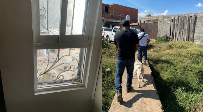 En Uruapan, aseguran a ejemplar canino víctima de maltrato animal