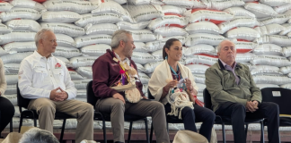 Promete Claudia Sheinbaum extender becas a estudiantes de nivel preescolar y primaria del país