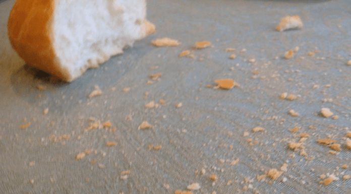 #México: Niñas mueren al consumir panes envenenados; reportan que era comida para matar perros de la calle