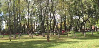 Bosque Cuauhtémoc tendrá presentaciones de teatro durante la noche
