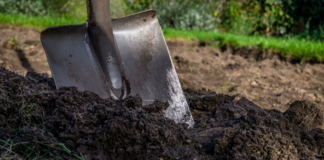 #México: Localizan sin vida en el patio de su casa a menor reportada como desaparecida