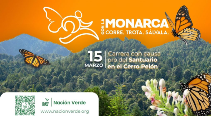 Sectur invita a correr en Zitácuaro por la Monarca
