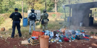 Destruyen 3 campamentos clandestinos en Parácuaro: SSP