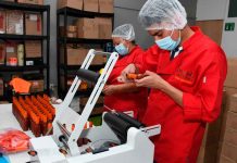Aumenta el empleo en Michoacán, aunque miles continúan en trabajos informales y mal pagados
