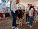 Feria de la adopción “Jalo por los Michis y Lomitos” recauda 1,600kg de croquetas
