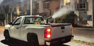 #Imágenes | Michoacán se mantiene sin defunciones por dengue: SSM