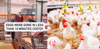 #VIDEO |Consumidores se pelean por hacer compras de pánico por escasez de huevo en EUA #Internacional