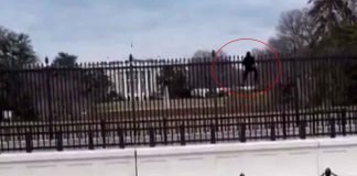 #VIDEO | Hombre intenta saltar la valla de la Casa Blanca y es detenido por el Servicio Secreto