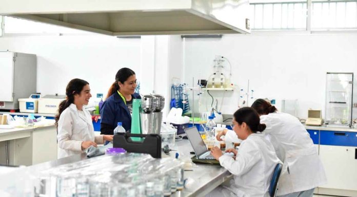 Gran respuesta de aspirantes registra la Convocatoria de Nuevo Ingreso de la UMSNH