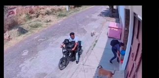 #VIDEO | #EnMéxico: Pareja roba comida de perros callejeros; vecinos están indignados
