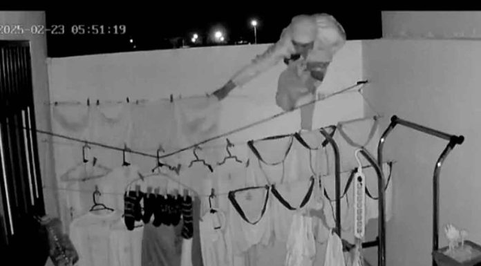 #VIDEO | ¡Ni los calzones se salvaron! Captan a hombre robando tendedero de ropa en la madrugada #México