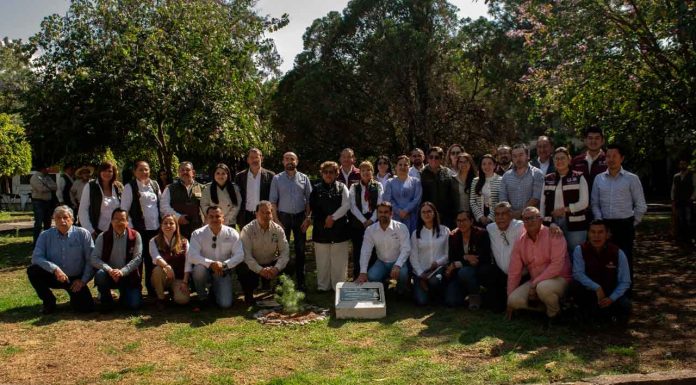 Michoacán y 7 estados unen fuerzas para proteger los bosques