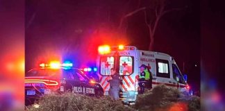 Mujer y su perro pierden la vida tras ser arrollados #México