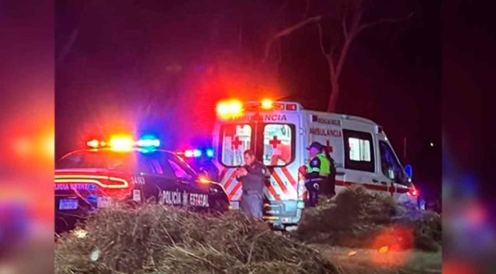 Mujer y su perro pierden la vida tras ser arrollados #México